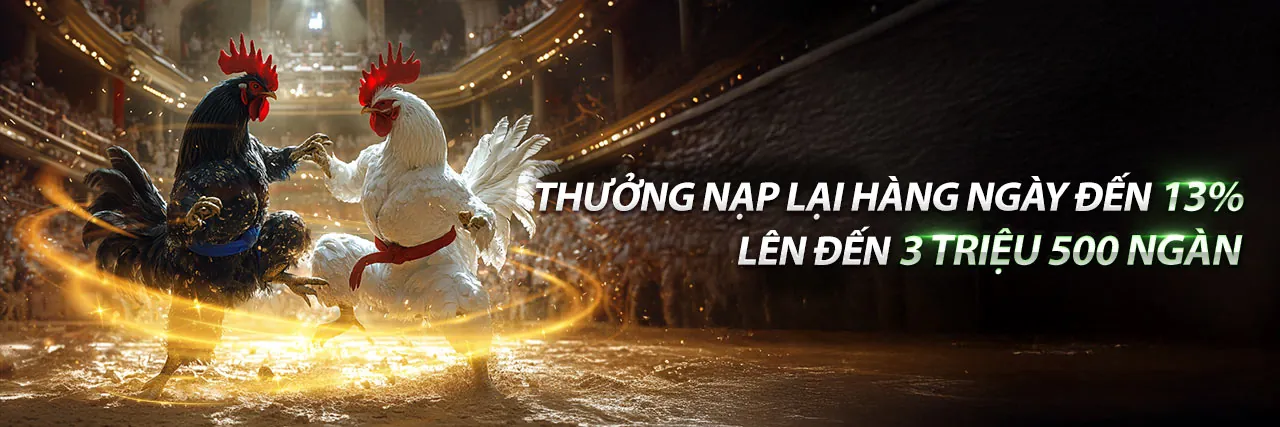 Điều khoản và Điều kiện của 78vin